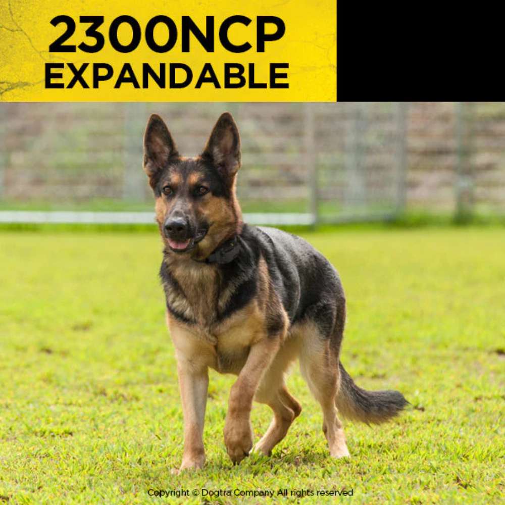 German Shepherd wears Dogtra 2300NCP Expandable 3/4 Mile Dog Remote Trainer collar while standing alert on grass outdoors