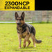 German Shepherd wears Dogtra 2300NCP Expandable 3/4 Mile Dog Remote Trainer collar while standing alert on grass outdoors