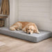 Golden retriever relaxes comfortably on the gray Bowsers Isotonic Memory Foam Mattress placed on a light wood floor inside a bright home