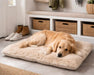 Golden retriever rests on a fluffy beige Bowsers Dream Futon Dog Bed placed on a tiled floor near storage baskets