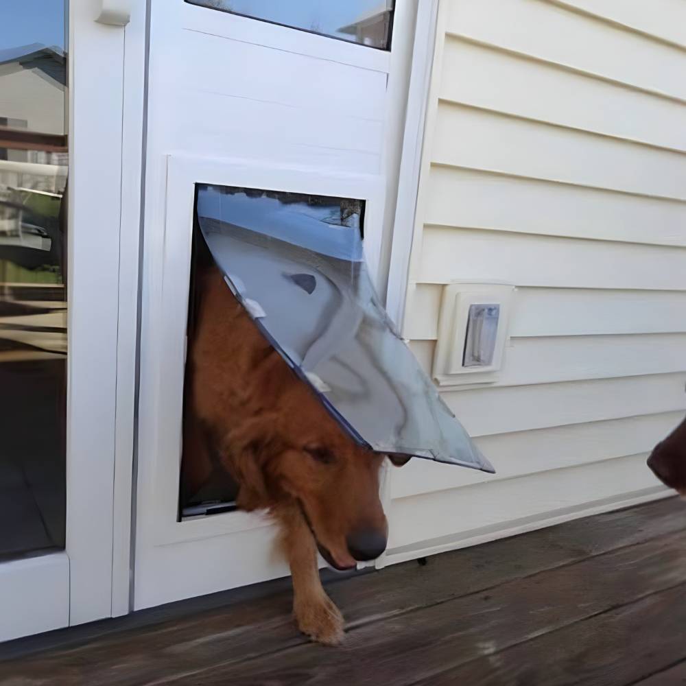 Golden Retriever passing through the Security Boss MaxSeal Lockable Patio Dog Door Insert, demonstrating the door's functionality and ease of use for pets