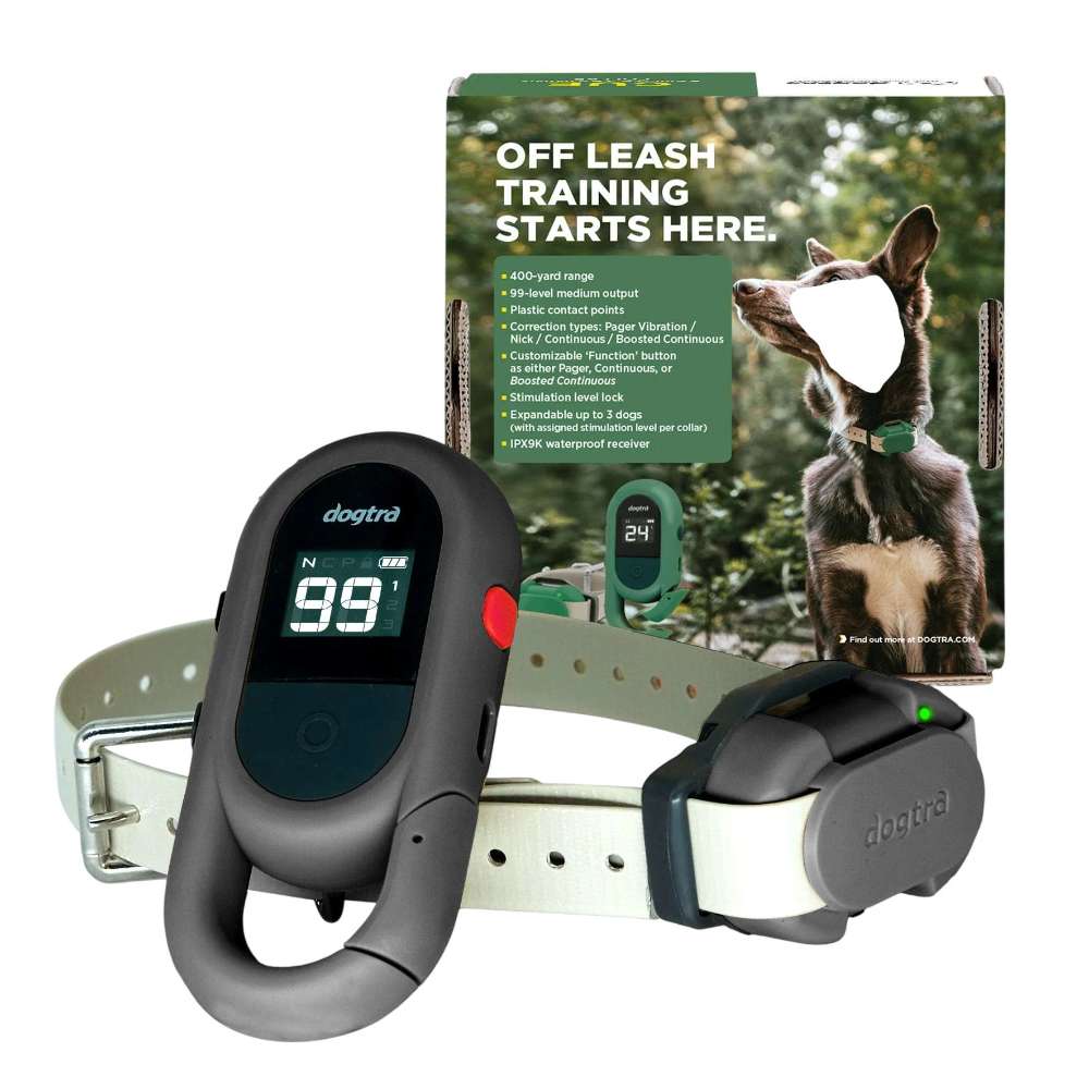 Grey Dogtra CUE GEN2 400 Yard Dog Remote Trainer is with its collar and packaging, showing features like 400-yard range and multiple training modes