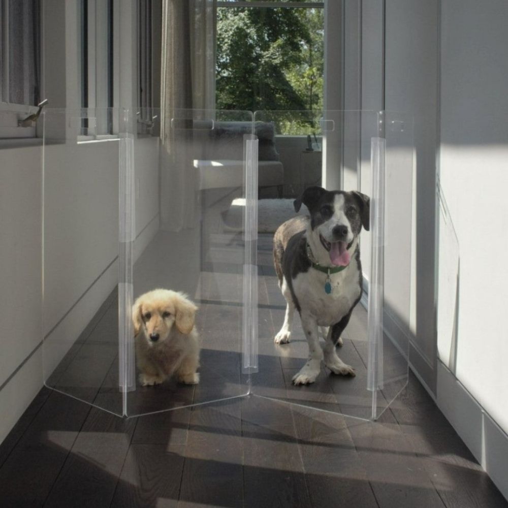 Hiddin Acrylic Freestanding Pet Gate Zig Zag Invisible Fence For Dogs