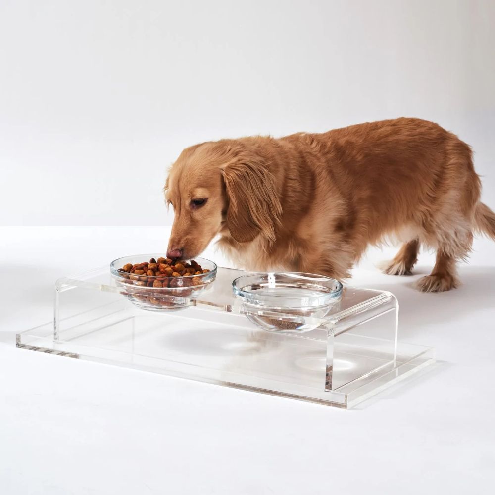 Hiddin Acrylic Pet Feeder With Best Dog Bowls