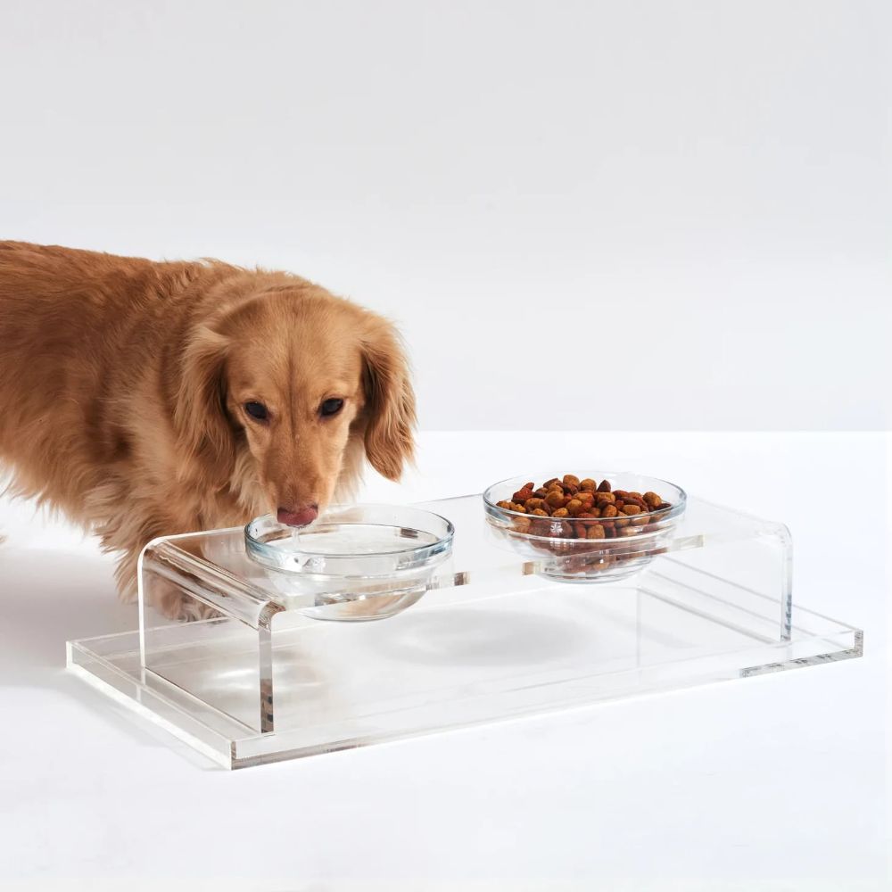 Hiddin Acrylic Pet Feeder With Two Glass Dog Bowls