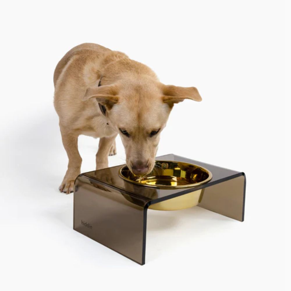 Brown Dog Bowls & Feeders