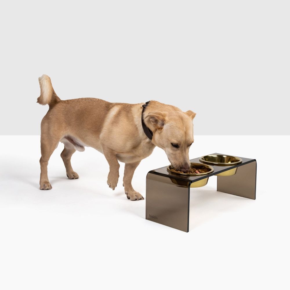 Hiddin Bronze Double Bowl Pet Feeder Medium Gold Dog Bowls