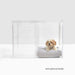 Hiddin Clear Dog Crate To Dog Gate With Optional Divider
