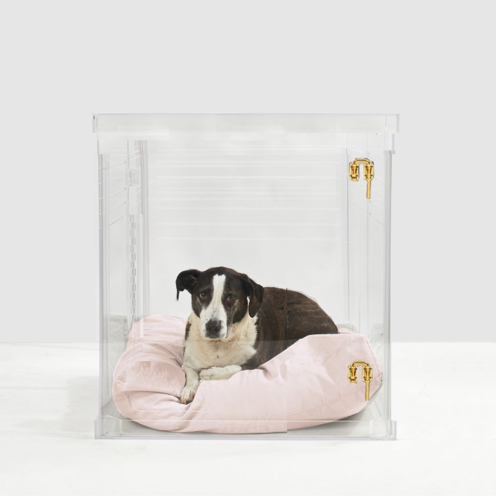 Acrylic dog outlet gate