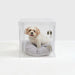 Hiddin Clear Dog Crate To Pet Gate Small Dog Crate Cushion Not Included