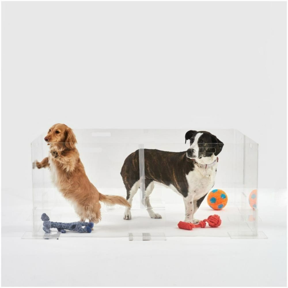 Clear Acrylic Dog Crate & Gate for Small Dogs | Wunderpets / Brass