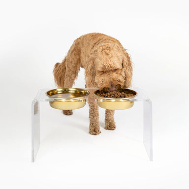 Hiddin Large Clear Double Pet Bowl Feeder With Gold Dog Bowls Acrylic Dog Feeder