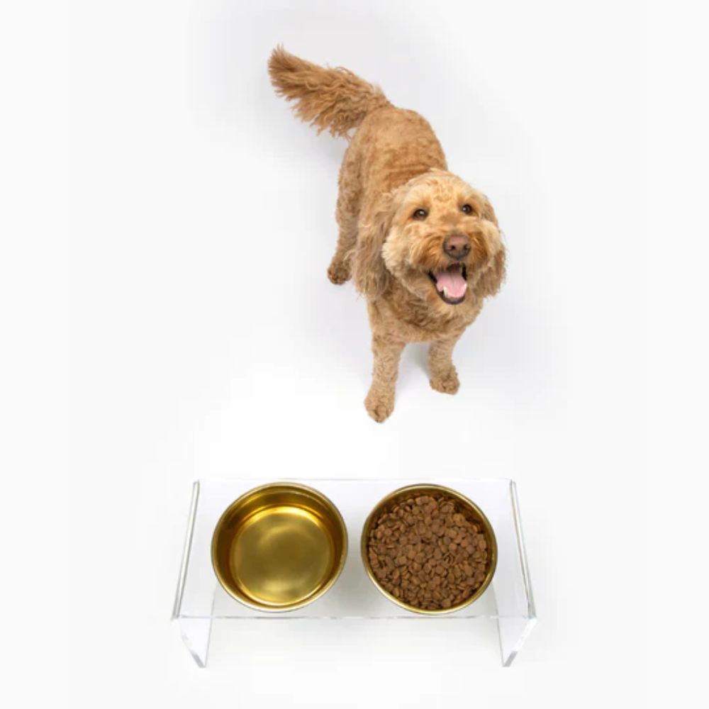 Hiddin Large Clear Double Pet Bowl Feeder With Gold Dog Food Bowls Acrylic Dog Feeder
