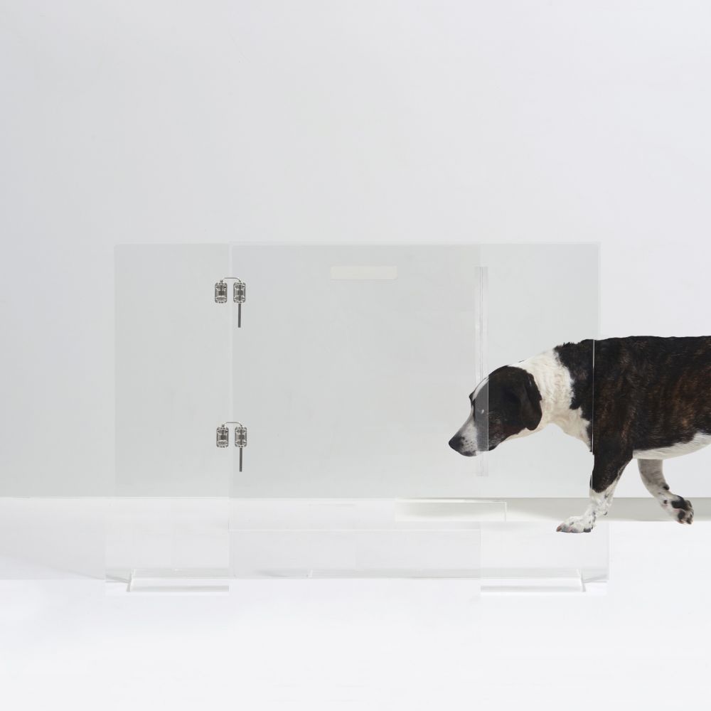Hiddin The Clear Acrylic Dog Gate Panel With Door Freestanding Dog fence