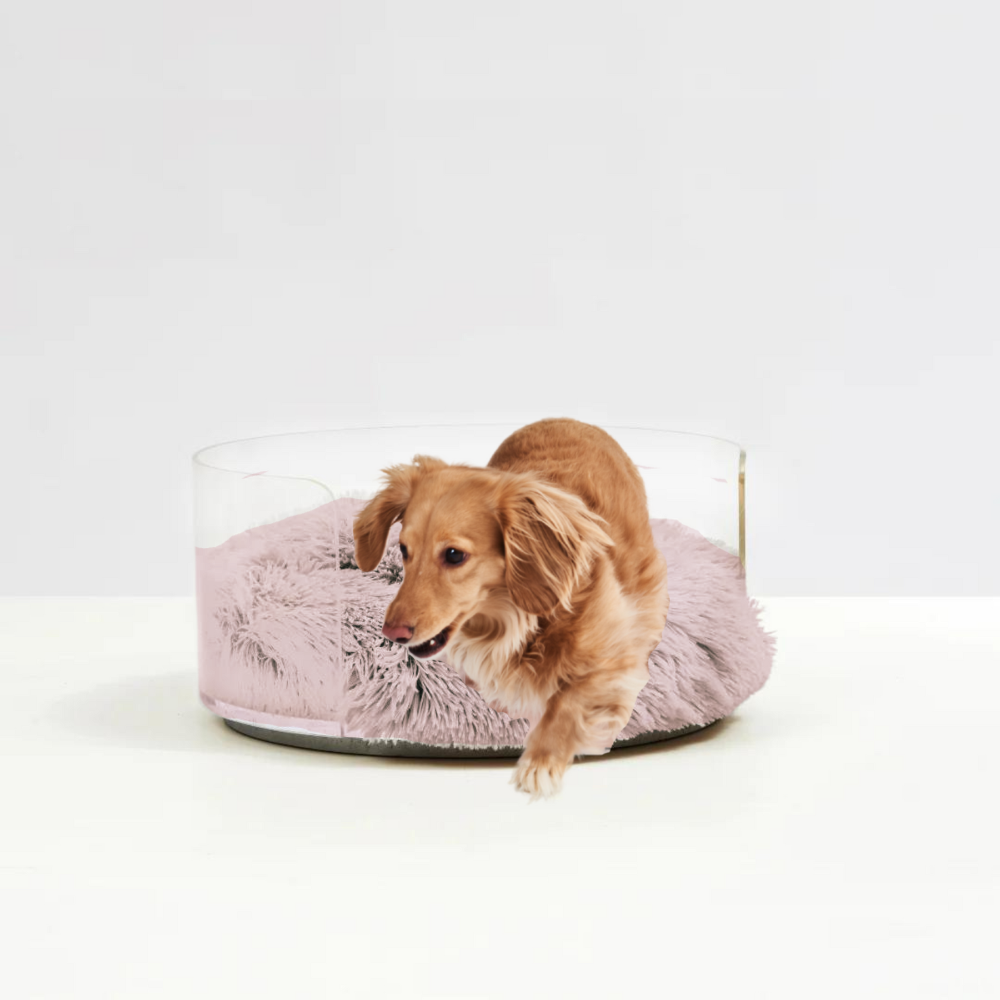 Hiddin The Clear Round Best Dog Bed With Donut Cushion 
