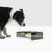 Hiddin The Smoke Grey Double Bowl Feeder With Two Lead-Free And Non-Toxic Dog Bowls
