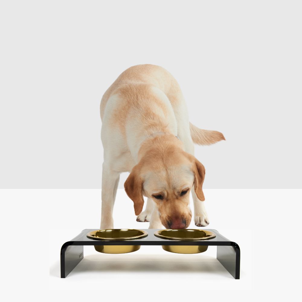 Hiddin The Smoke Grey Double Bowl Feeder With Two Modern Dog Bowls