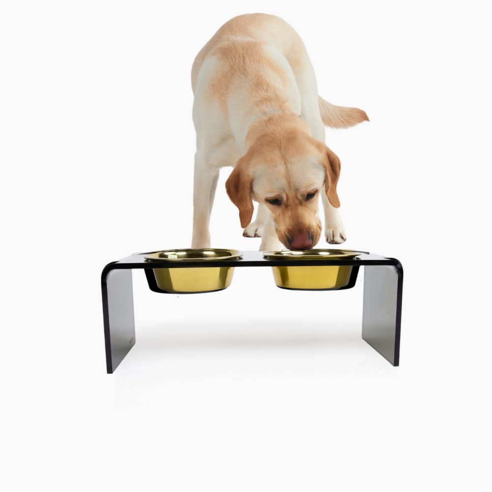 Hiddin The Smoke Grey Double Bowl Feeder With Two Stainless Steel Dog Bowls