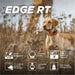 Hunting dog in a field wears Dogtra EDGE RT Additional Receiver, with icons highlighting waterproof and training features