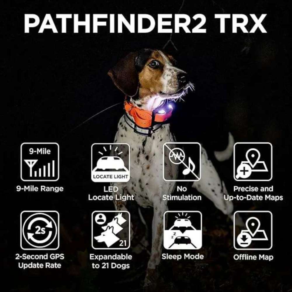 Hunting dog in the dark wears Dogtra Pathfinder2 TRX Extra Receiver Collar, showcasing GPS tracking, LED light, and long-range features