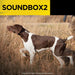 Hunting dog stands alert in a grassy field while Dogtra Soundbox2 Dog Training Tool is introduced as a remote sound device for pet training