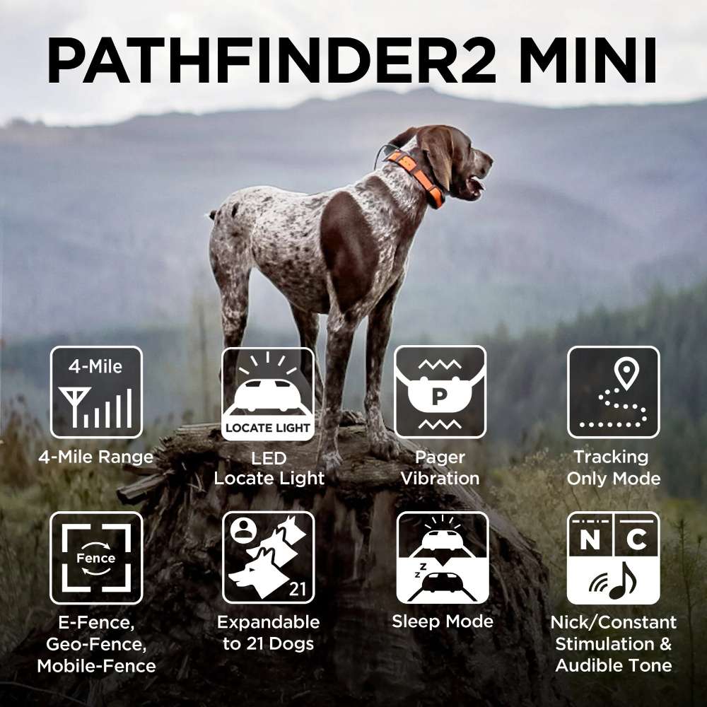 Hunting dog stands with icons showing range, tracking, and training features of Dogtra Pathfinder2 Mini GPS E-Collar