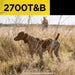 Hunting scene shows a dog wearing Dogtra 2700T&B Training and Beeper 1 Mile Dog Remote Trainer collar standing alert in tall grass with a person in the background