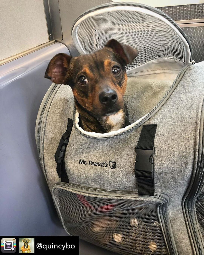 Mr. Peanut's Aspen Series Airline Compliant Backpack Pet Carrier