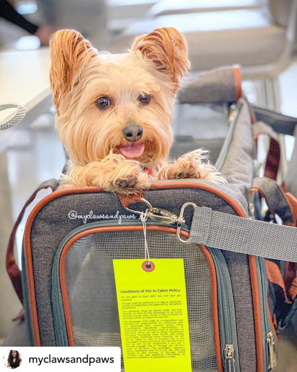Mr. Peanut's Gold Series Airline Compliant Pet Carrier