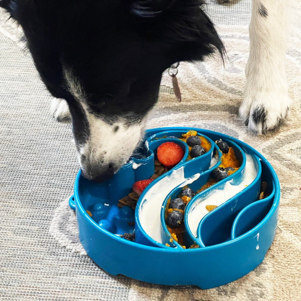 Wave Design eBowl Enrichment Slow Feeder Bowl for Dogs