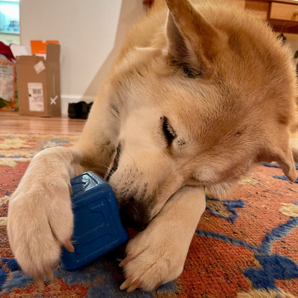 Love Cube Durable Rubber Chew Toy & Treat Dispenser