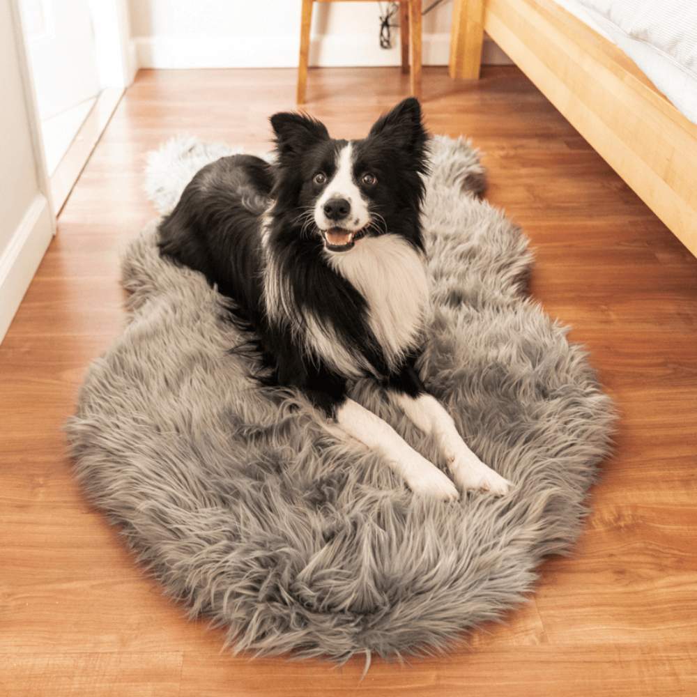 In a bedroom, a black and white dog is comfortably lying on the Curve Charcoal Grey Paw PupRug Faux Fur Orthopedic Dog Bed on a wooden floor