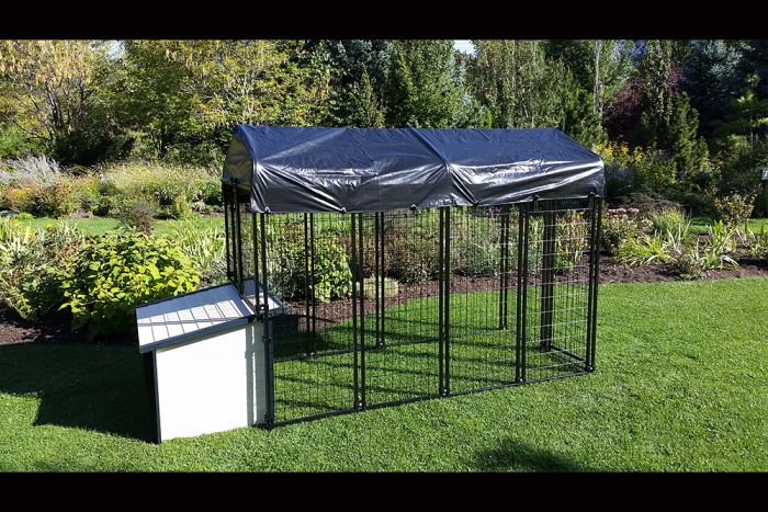 K9 Kennel Store 4' x 8' Value Kennel & Basic Cabin Dog House Combo Extra Large 