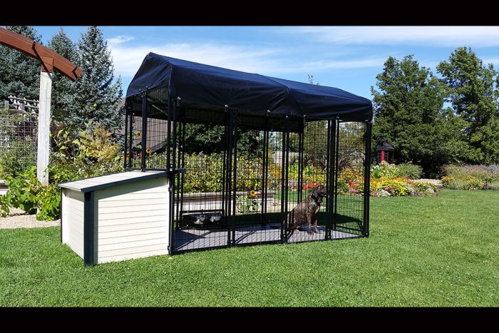 K9 Kennel Store 4' x 8' Value Kennel & Basic Cabin Dog House Combo Jumbo