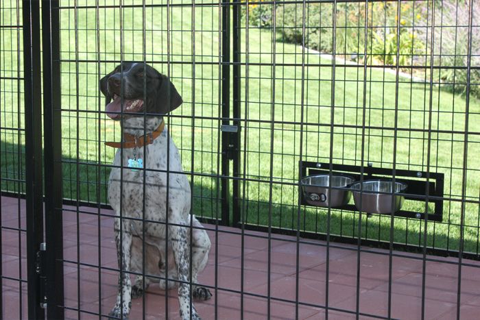 K9 hotsell dog fence