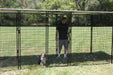 K9 Kennel Store Complete 7' Tall Powder Coated Dog Kennel Standard