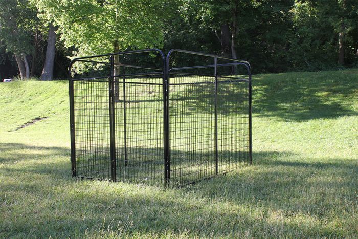 K9 Kennel Store Powder-Coated Basic Standard Dog Kennel 6 by 8 Front View