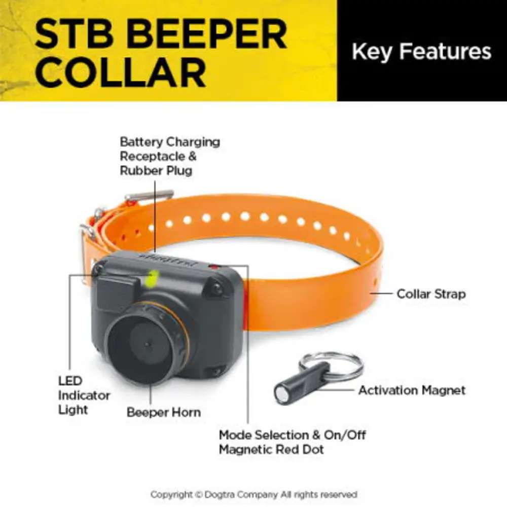 Labeled diagram of Dogtra STB Beeper Collar shows parts like the beeper horn, LED light, strap, and magnetic key