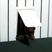 Lakeside The Magnador 2-Way White Pet Door With Passing Dog