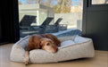 Large brown dog relaxes comfortably inside Bowsers Sterling Lounge Dog Bed near a bright modern window