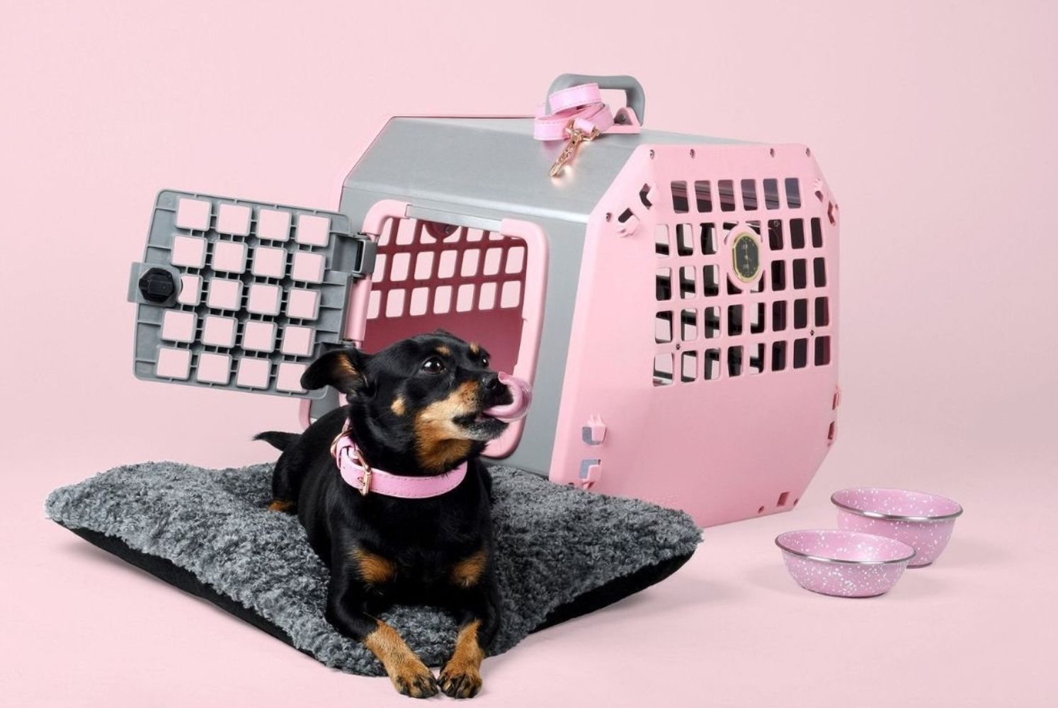 MIM Care² Pet Travel Dog Crate Pink