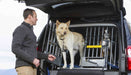 MIM Safe VarioGate Double Universal Cargo Barrier Dogs Cars