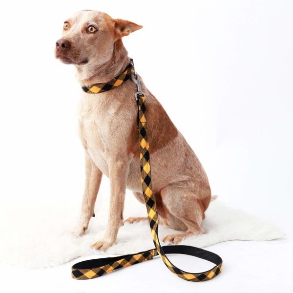 Mimi Green Buffalo Plaid Dog Collar Yellow