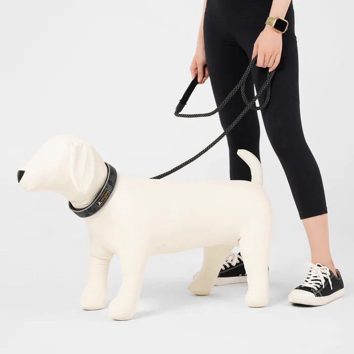 Olly Dog Mountain Leash