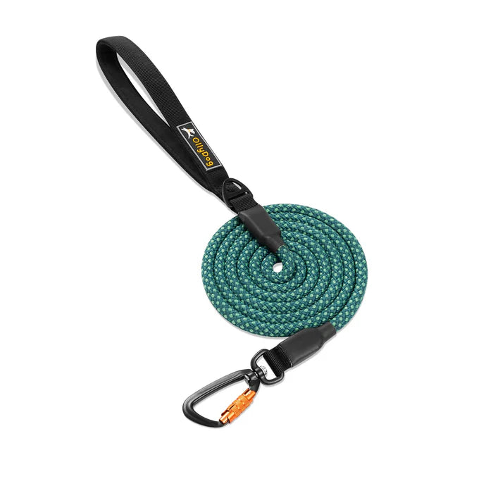 Olly Dog Mountain Leash