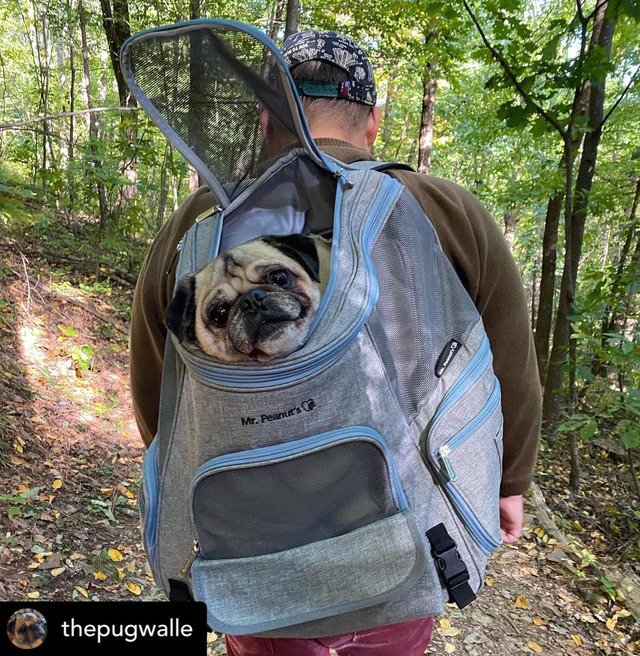 Mr. Peanut's Tahoe Series Expandable Backpack Pet Carrier Actual
