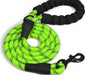 My Doggy Tales Braided Rope Dog Leash Lime