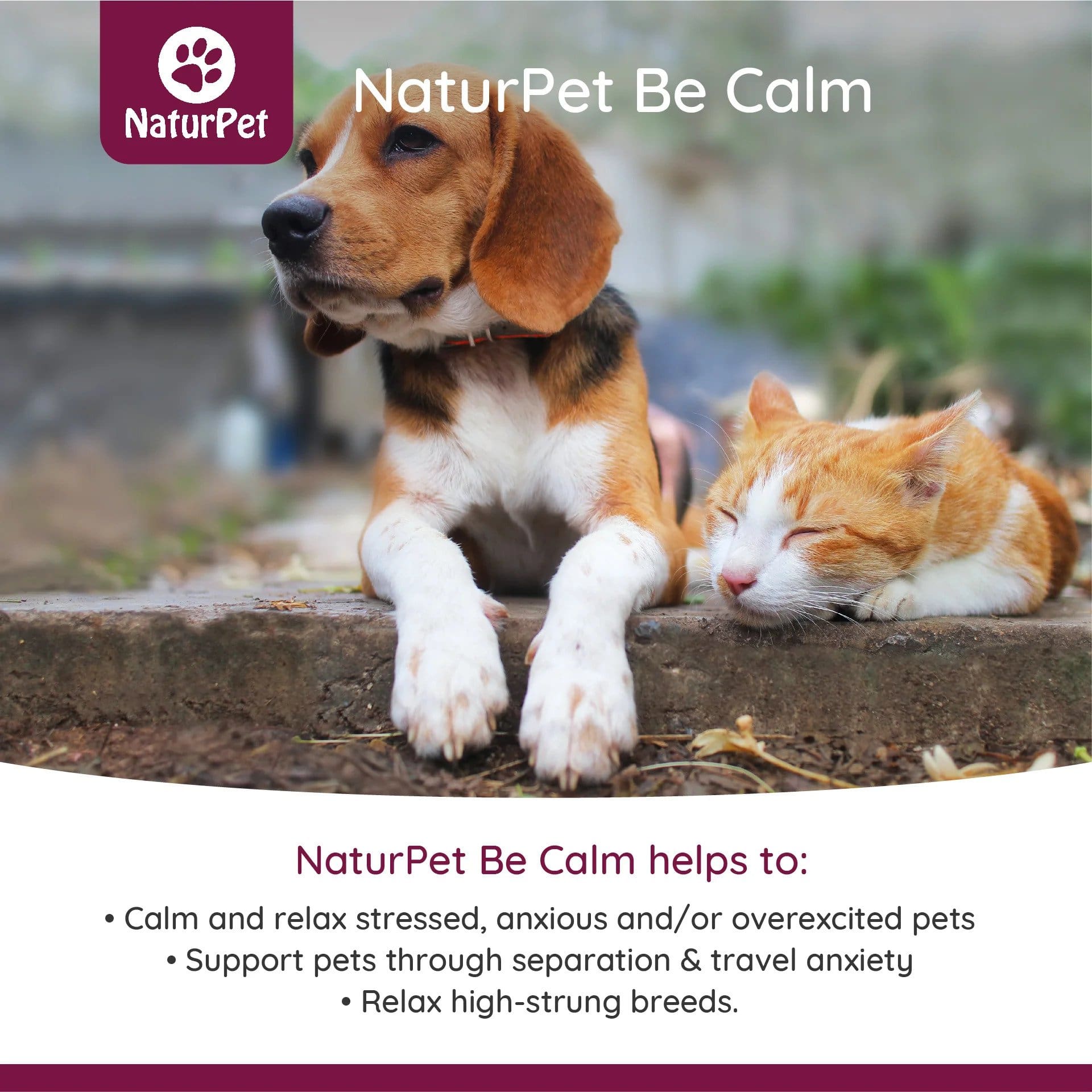 NaturPet Be Calm - Soothe Your Stressed Pet Benefits