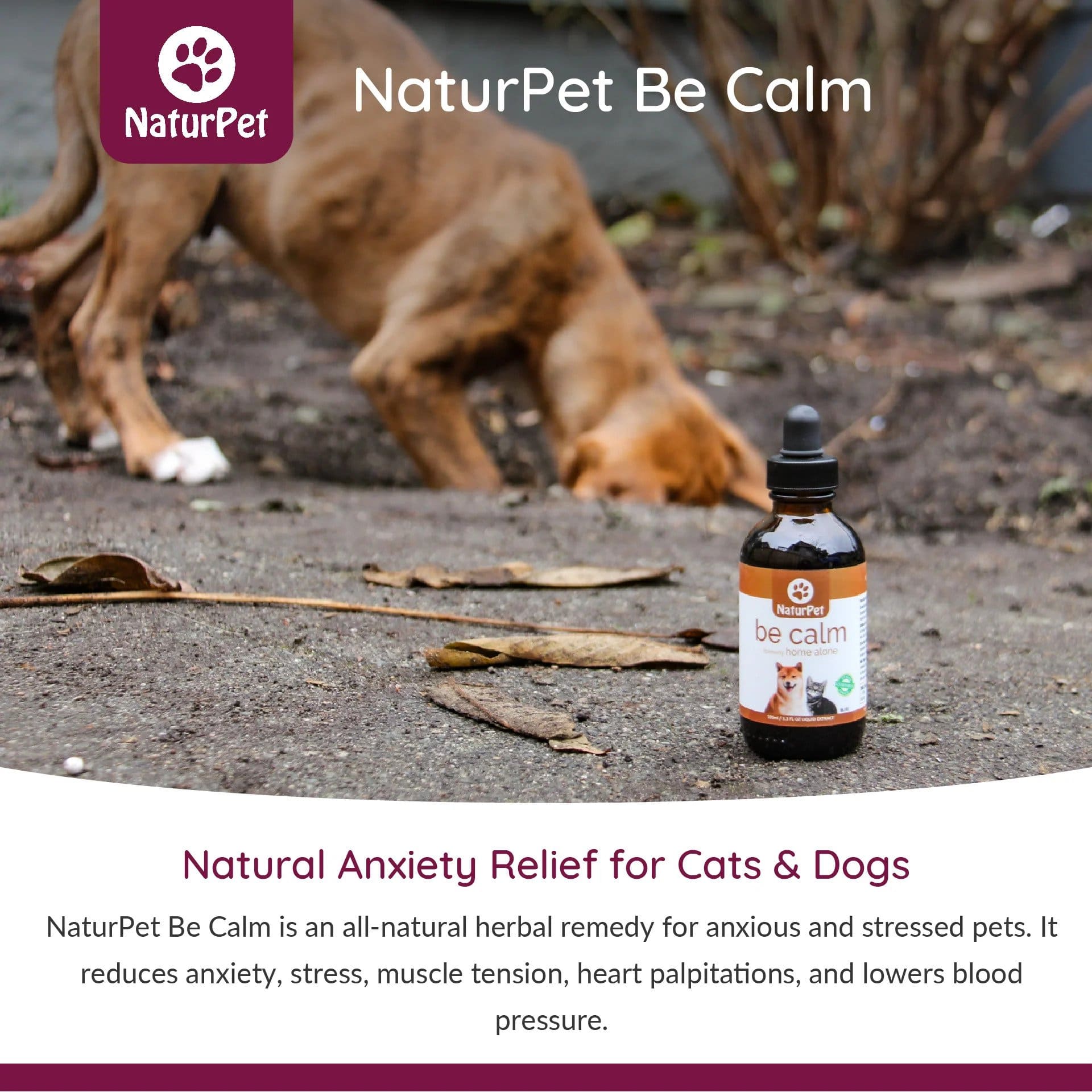 NaturPet Be Calm - Soothe Your Stressed Pet How to use