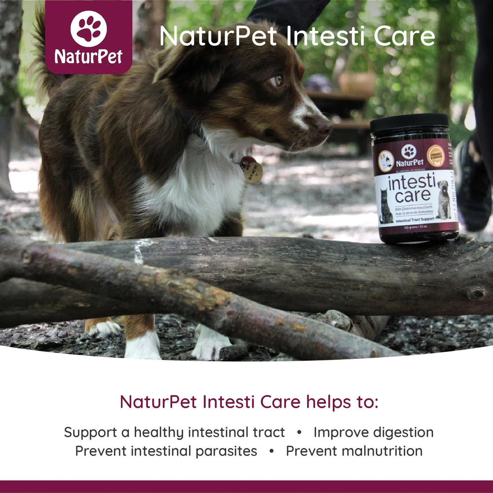 NaturPet Intesti Care - For Intestinal Health & Support Benefits